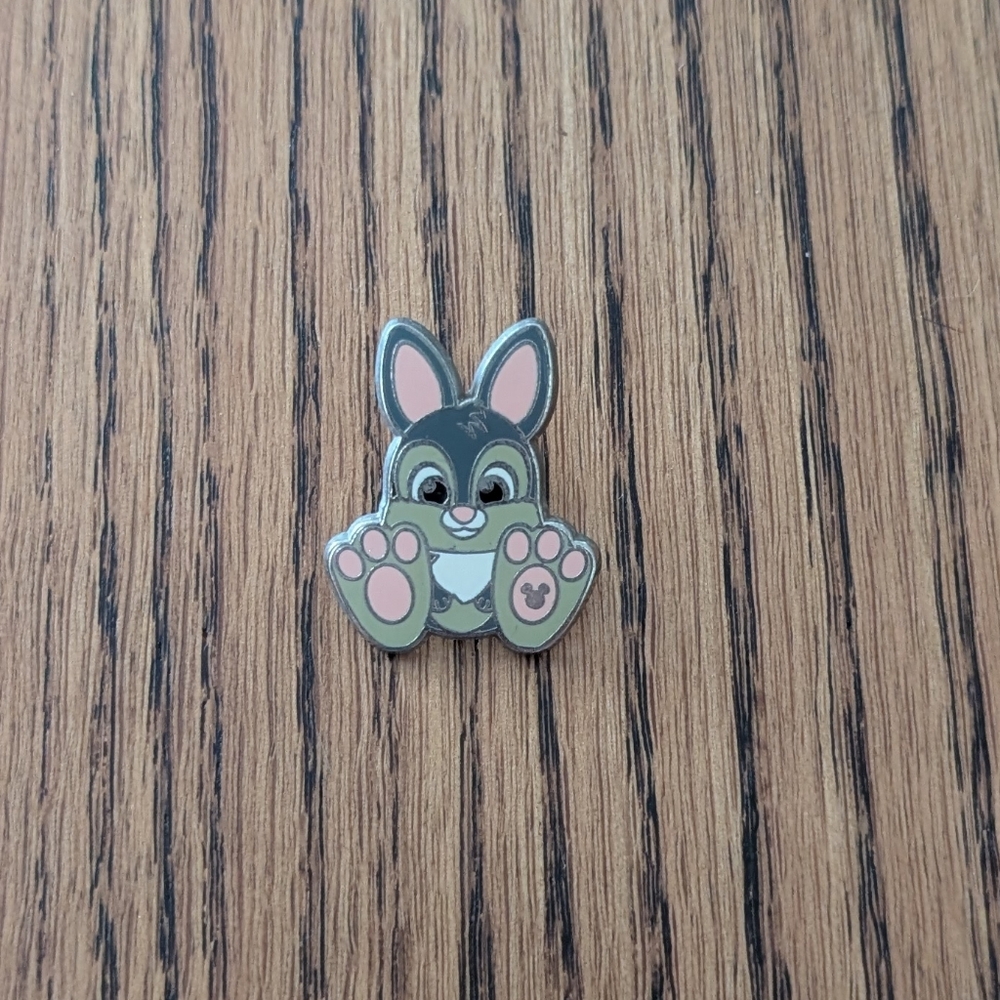 Disney Pin